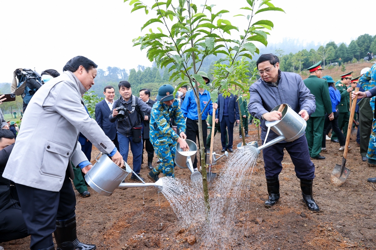Thủ tướng yêu cầu tổ chức “Tết trồng cây đời đời nhớ ơn Bác Hồ” thiết thực, hiệu quả